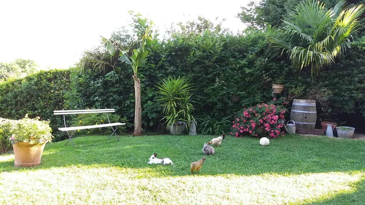 Villa La Croix Basque Ciboure Buitenkant foto